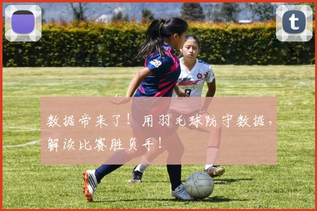 数据帝来了！用羽毛球防守数据，解读比赛胜负手！