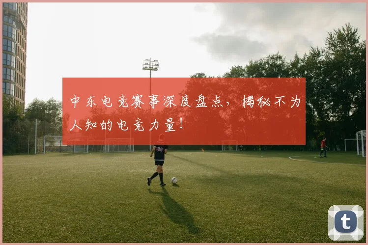 中东电竞赛事深度盘点,揭秘不为人知的电竞力量!